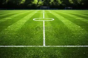 深圳市足球,俱乐部简介,一瞥风采,亚博体育,亚博体育官网,亚博体育app,亚博体育下载