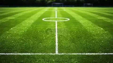 深圳市足球俱乐部简介：一瞥风采