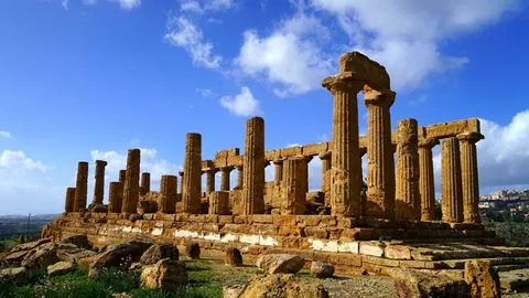 郑钦文澳网慈善赛击败斯维托丽娜